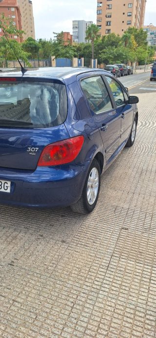 Peugeot 307 2004