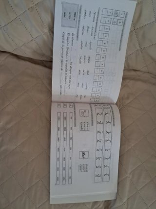 Confusión de letras por proximidad espacial