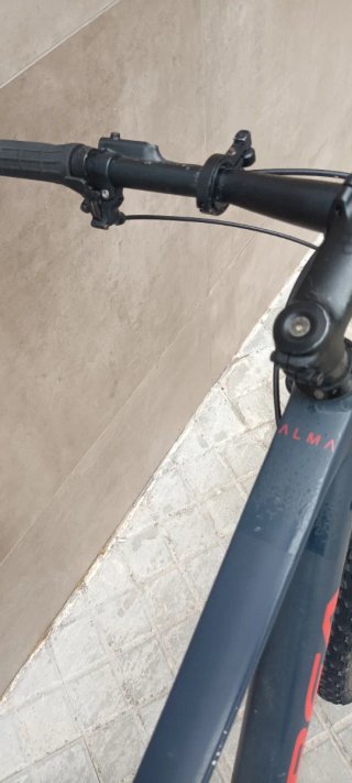 Bicicleta Orbea MTB Alma Eagle H10 2021 Talla L