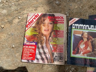 Lote Revistas Antiguas