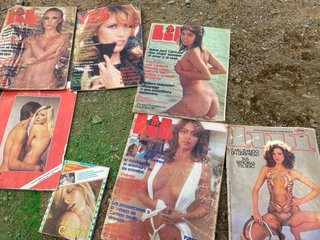 Lote Revistas Antiguas