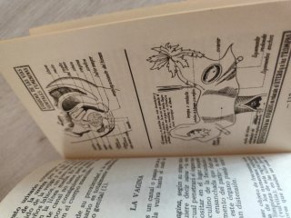 El libro de la joven