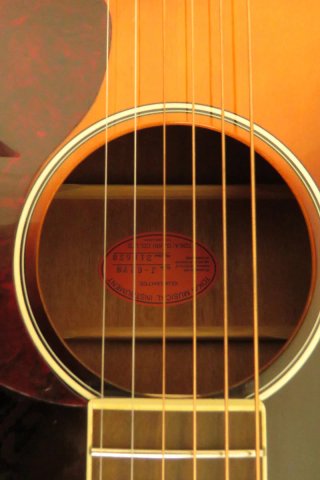 TOKAI J62 VS Guitarra Acústica