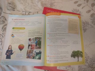 Lengua castellana, 5 Primaria