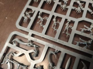 Spite Revenants Sylvaneth en Matriz Warhammer