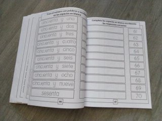 Libro de Matemáticas para niños con Discalculia...