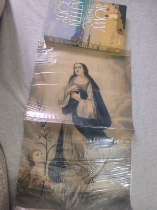 Lamina de virgen