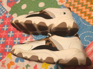 Zapatillas Gioseppo Talla 38