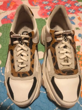 Zapatillas Gioseppo Talla 38