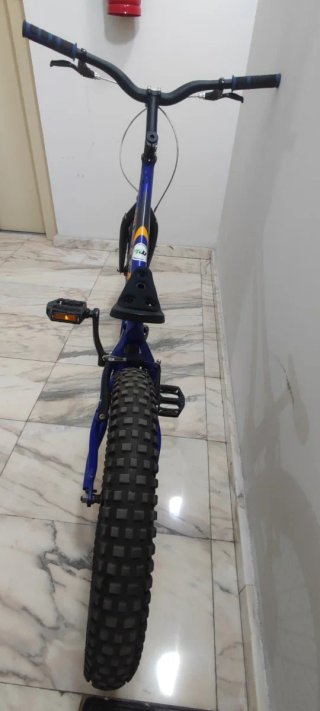 Monty trial