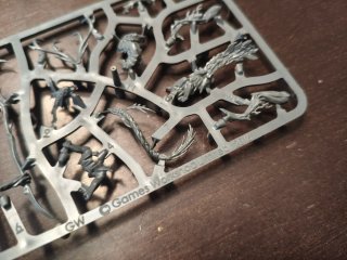 Brujarrama Sylvaneth Warhammer en Matriz