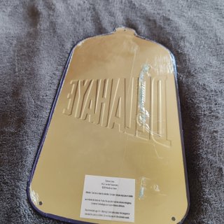 Placa Delahaye Metal Decorativa 28x16cm