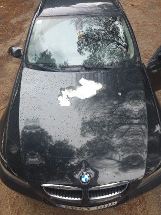 BMW Serie 3 2008