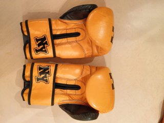 Guantes de Boxeo Charlie NY 14 TNT