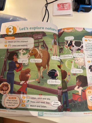 Rise & Shine 2 Pupil's Book & Interactive Pupil...