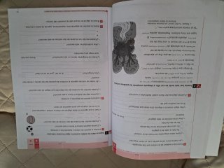 Cuaderno de eficacia lectora Rojo