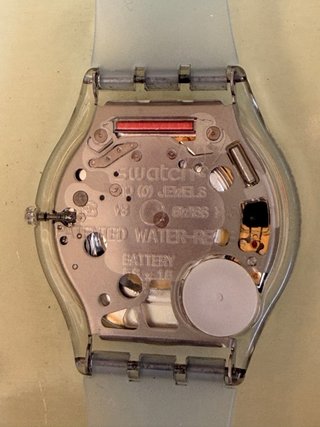 Reloj Swatch Skin Bludablu SFK170