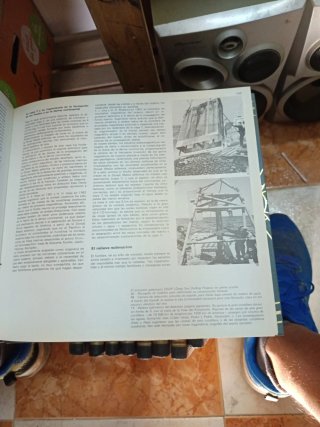 Albatros enciclopedia del mar