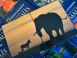 Enciclopedia de los animales Completa