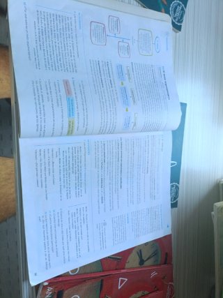 Lengua y literatura 1 eso