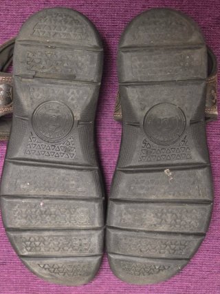 Chanclas Panamá Jack Hombre Marrones