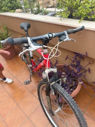 Pack 2 Bicicletas Adulto