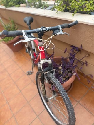 Pack 2 Bicicletas Adulto