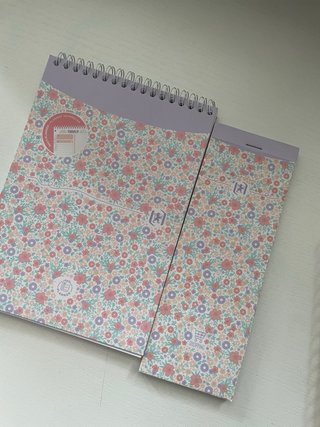 Lote material escolar coquette