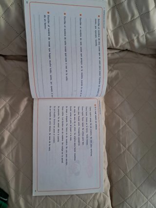Fichas de Lenguaje y Lectura Comprensiva