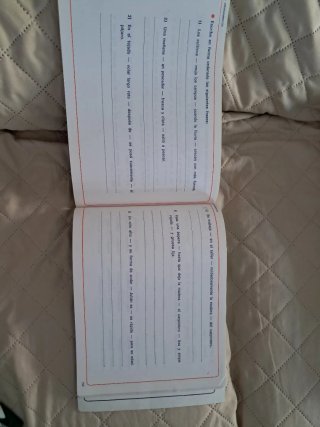 Fichas de Lenguaje y Lectura Comprensiva