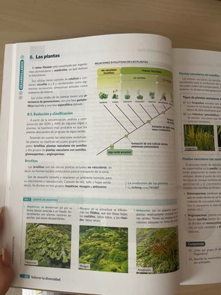 BIOLOGIA GEOLOGIA Y CIENCIAS AMBIENTALES 1 (CER)