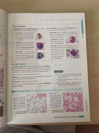 BIOLOGIA GEOLOGIA Y CIENCIAS AMBIENTALES 1 (CER)