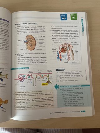 BIOLOGIA GEOLOGIA Y CIENCIAS AMBIENTALES 1 (CER)