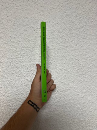El asesinato del profesor de matemáticas