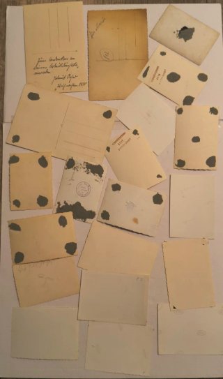 Militaria Lote Fotos Wehrmacht/RAD 1936-1945