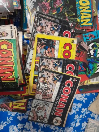 Comics Conan daily strip