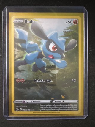Riolu Básico GG26/GG70 PS60