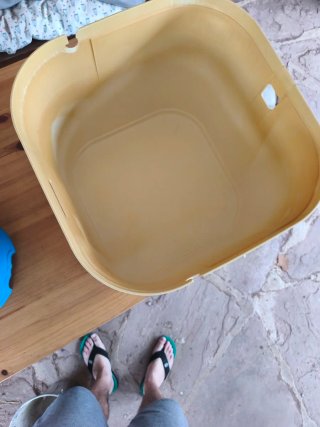 Arenero para gatos con filtro