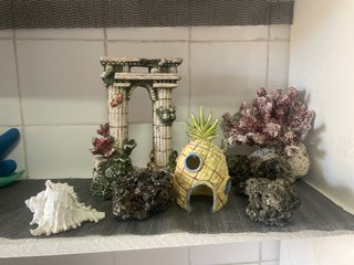 Pack Estatuas Acuario: Ruinas y Piña