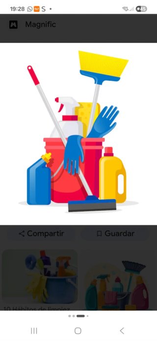 Linpieza a domicilio