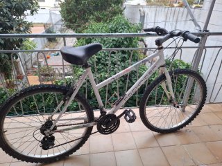 2 Bicicletas Rockrider y BMX Roja