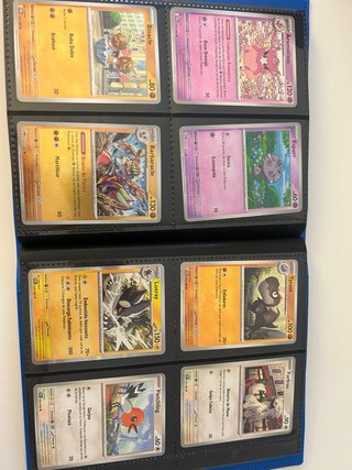 Cartas Pokémon The Perfect Order