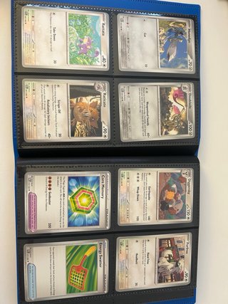 Cartas Pokémon The Perfect Order