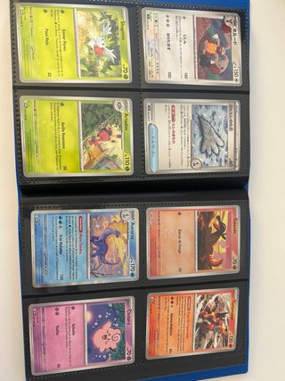 Cartas Pokémon The Perfect Order