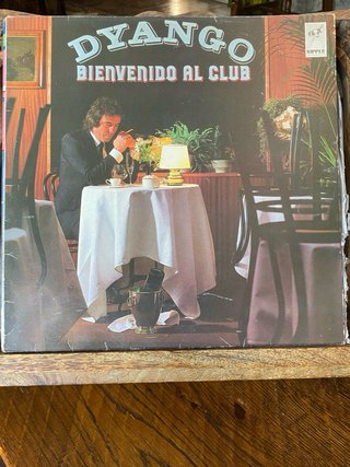 Lote 10 Vinilos LP Paul Young