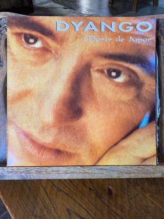 Lote 10 Vinilos LP Paul Young