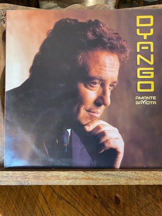 Lote 10 Vinilos LP Paul Young