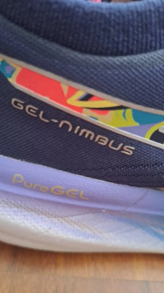 Zapatillas Asics Gel Nimbus 25 Lite Show