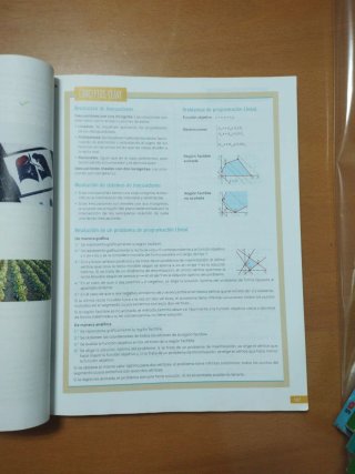 Matemáticas aplicadas a las Ciencias Sociales II 2