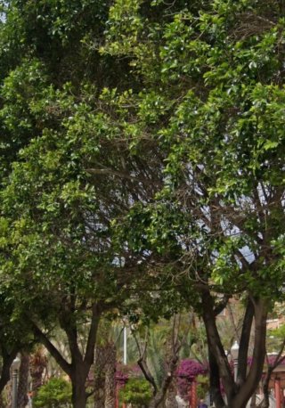 Plaza de garaje amplia
